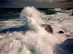 Eddie's Cove Breakers